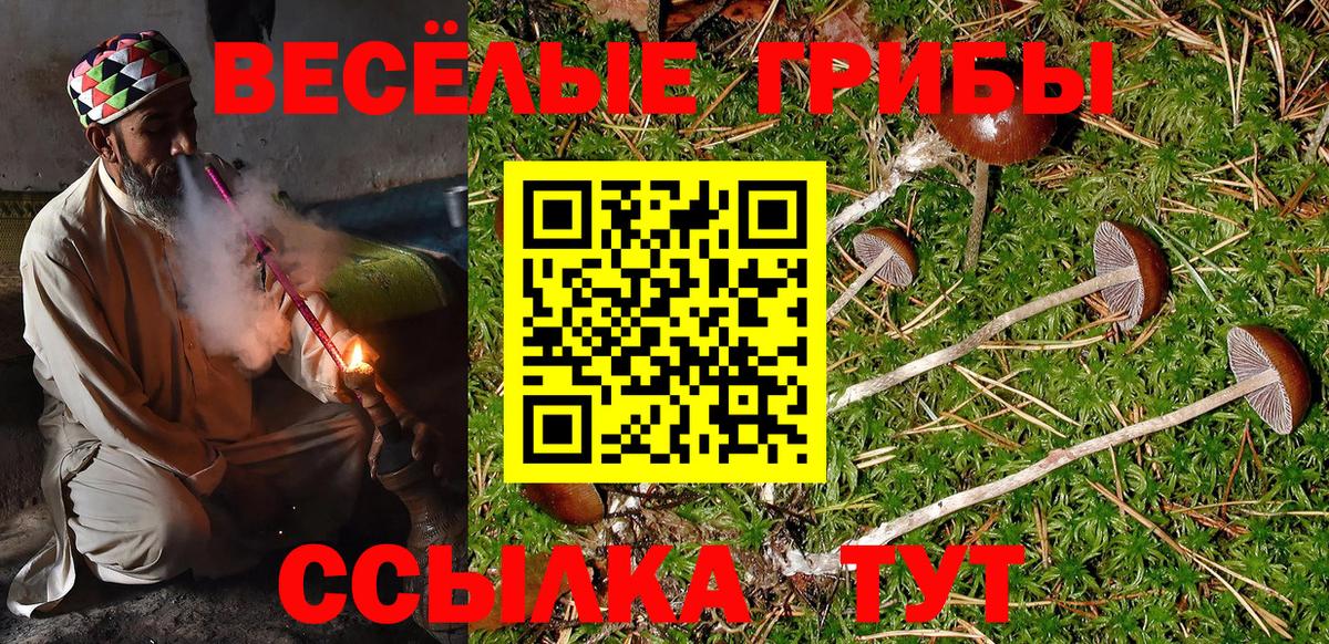 Галлюциногенные грибы Cubensis  Галлюциногенные грибы мицелий  Вход с VPN  Ноябрьск 